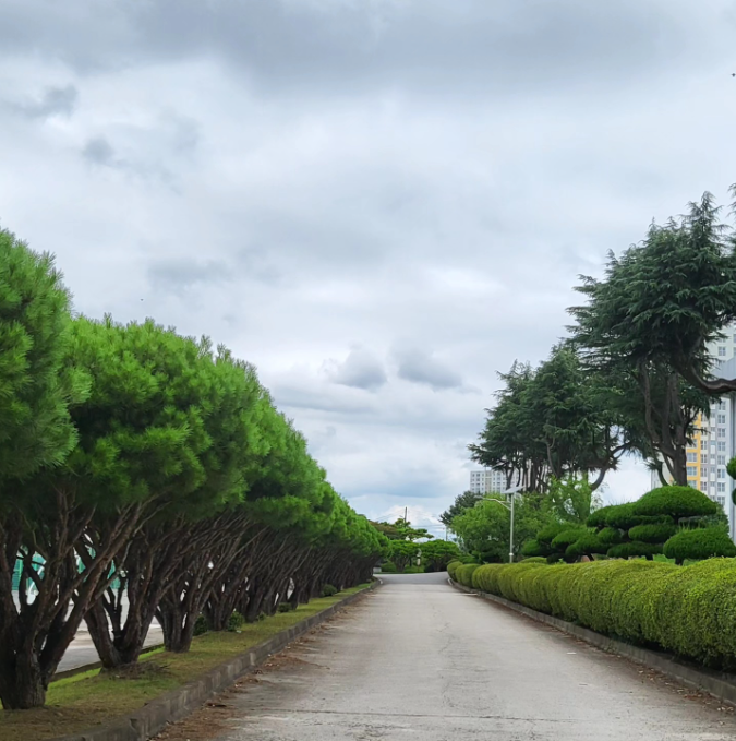 김제고등학교 입시 홍보   대표이미지