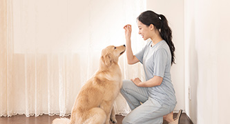 글로벌호텔관광과 학생활동 사진-1