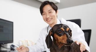 글로벌호텔관광과 학생활동 사진-2